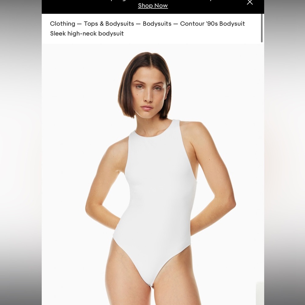 PERFECT CONDITION ARITZIA BODYSUIT
